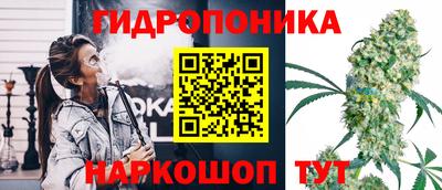 шишки Краснокаменск